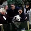 Първото бебе панда на Франция бе кръстено от Брижит Макрон