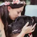 Умиращо от рак куче се преобрази за сватбата на стопанката си