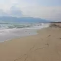 Плажът на Приморско е пълен със змии