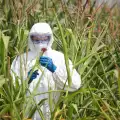 Monsanto to be Sued for Crimes Against Humanity