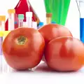 ГМО домат уби млад испанец