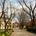 В Сливен провеждат дни на Дамян Дамянов