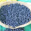 Why and When to Consume Acai Berry?