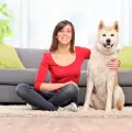 Как да накараме кучето да лае?