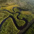 Защо горите в Амазония са наистина важни за нашата планета?
