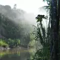 Създадоха нов парк в Амазония