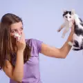 Как да разберем, че имаме алергия към котките?