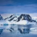 Морските животни в Арктика са подвластни на лунните цикли