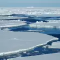 Учени откриха непозната бактерия в антарктическо езеро