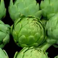 Weight Loss with Artichoke