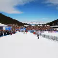 Първенство по ски за ветерани в Чепеларе