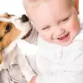 Домашни животни и бебе