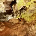 Пещерната експедиция във Врачанския балкан откри нов вид обитател