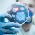 Прогнози: Кога ще настъпи краят на пандемията от коронавирус?