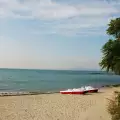Плажът във Варна забранен за домашни любимци