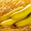 Da li banane prouzrokuju zatvor?