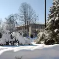 Снегът остави без ток отделни селища край Банско и Разлог