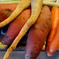 Как се отглеждат сладки картофи