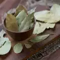 ¿Cómo secar las hojas de laurel?