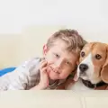 Кучетата - пазители на децата