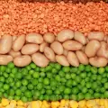 Recognizing Bio-Lentils and Bio-Beans