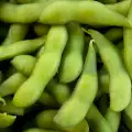 How to Blanch Green Beans?