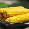 Какво съдържа царевицата?