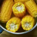 Хранителен състав на царевицата