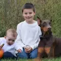 Момченце продаде играчките си, за да спаси болното си куче