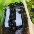 Zdravstvene koristi konzumacije sušenih crnih borovnica