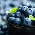 Can Blueberries Be Dried?