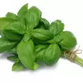 How To Store Basil?
