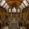 Драстичен спад на посетители в британските музеи