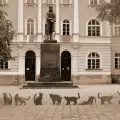 Бронзови габровски котки оживяват на фасадата на Веселата къща