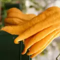 Ръката на Буда