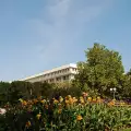 До 5 май Бургас е столицата на цветята