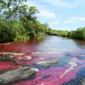 Феноменална река в Колумбия грее в цветовете на дъгата