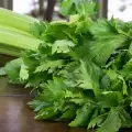 How to Store Celery Leaves?