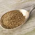 Healthy Use of Celery Seeds