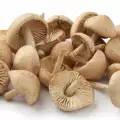 Как чистить свежие грибы?