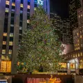 В Ню Йорк грейна елха с 45 000 лампички и кристална звезда