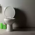Как правилно да почистим тоалетната чиния