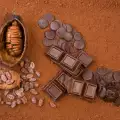 History of Chocolate, Written by the Aztecs