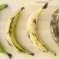 Zelena, žuta ili smeđa banana: Sa kojom zrelošću je najkorisnija?