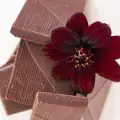 Цветята, които имат аромат на шоколад