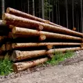 Крадени дърва бяха заловени нa пътя за село Бабяк