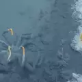 Откритието на годината! Смъртоносно езеро се крие под море