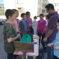 Деца от Разлог украсиха града с пъстри къщички за птици