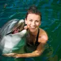 Забраниха къпането на френски плажове заради разгонен делфин