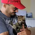 Котката на Дичо - жертва на похитители
